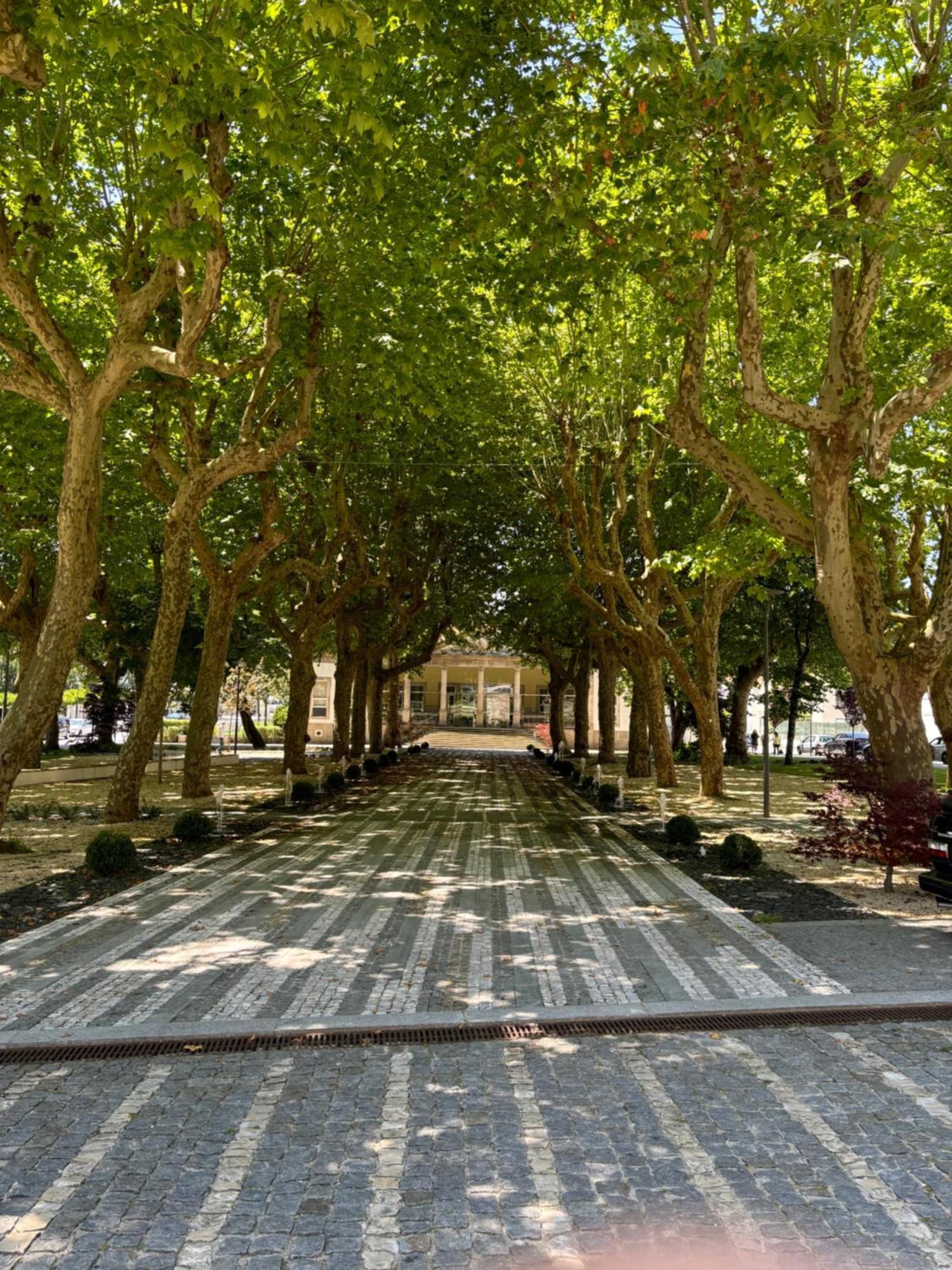 Aconchego Home Caldas de Sao Jorge Dış mekan fotoğraf